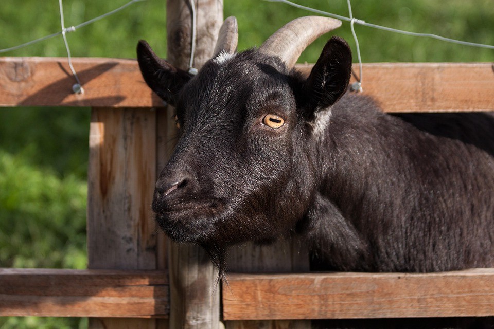 איך להתחיל להתחבר כמו מקצוען