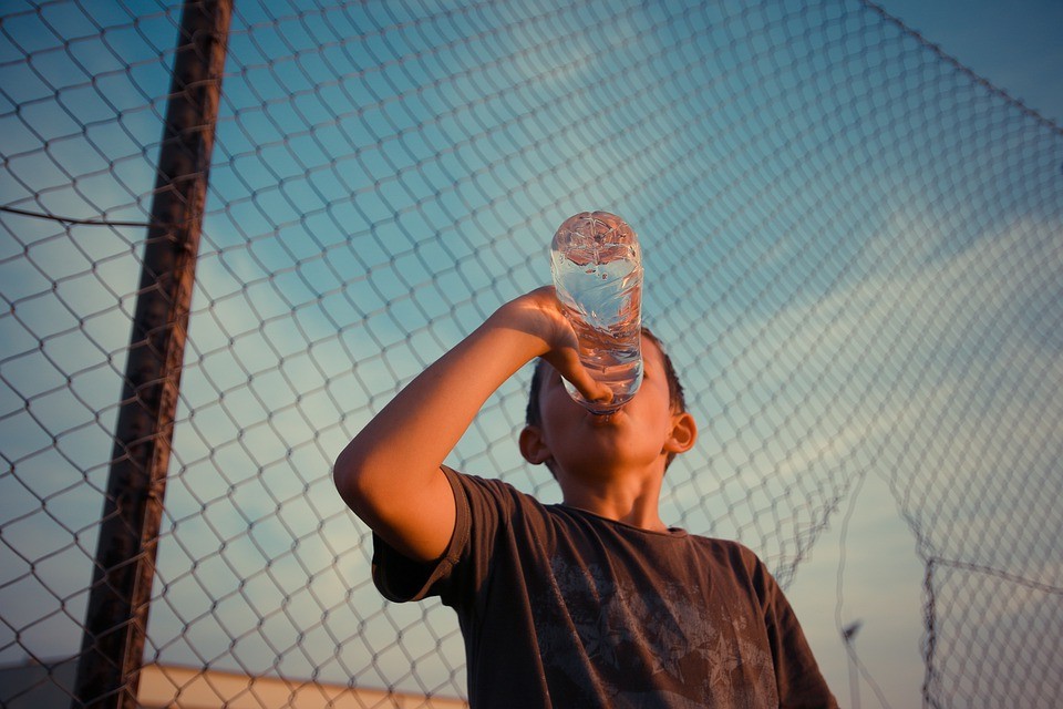 המשיכה של הערפדים