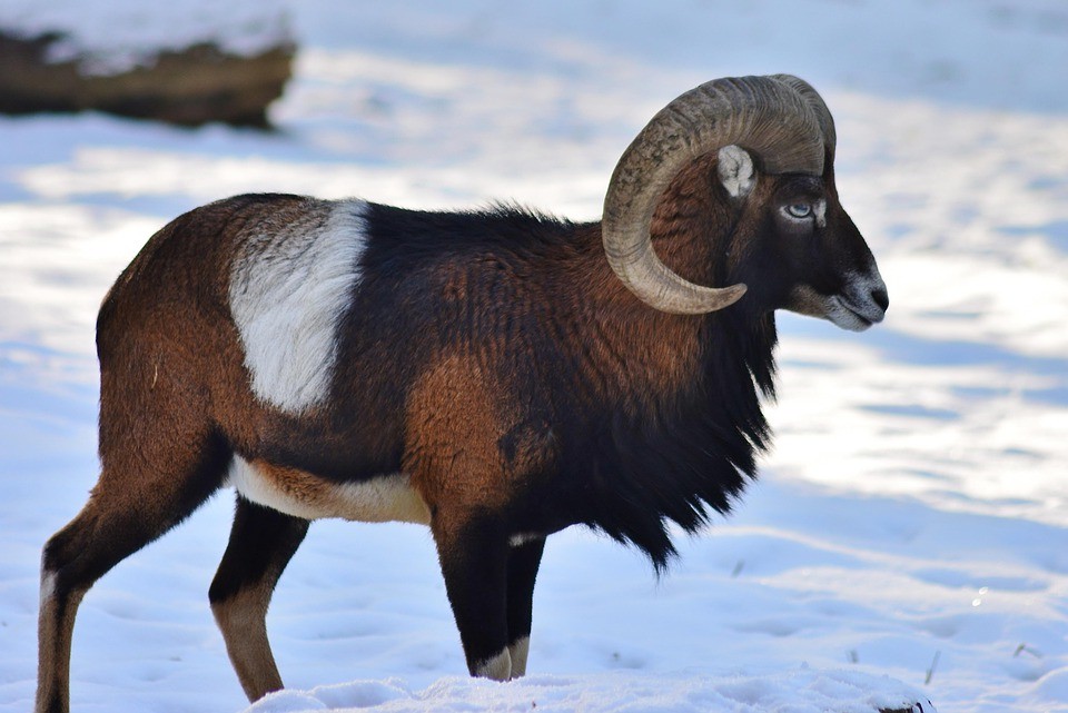 עשר סצנות המין הטובות ביותר בסרטים
