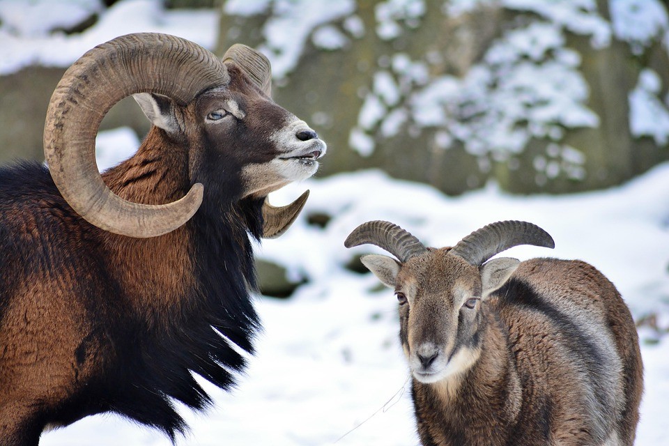 שישה דרכים לחוות אורגזמה בלי תכנון מראש